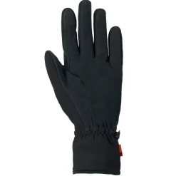 Basodino III Handschuhe
