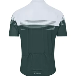 Posta Half-Zip II Fahrrad Trikot Herren