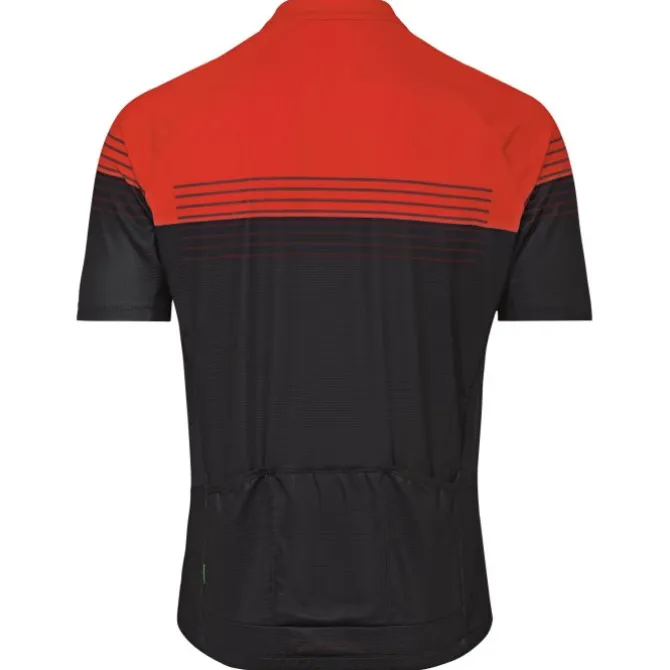 Posta Half-Zip II Fahrrad Trikot Herren